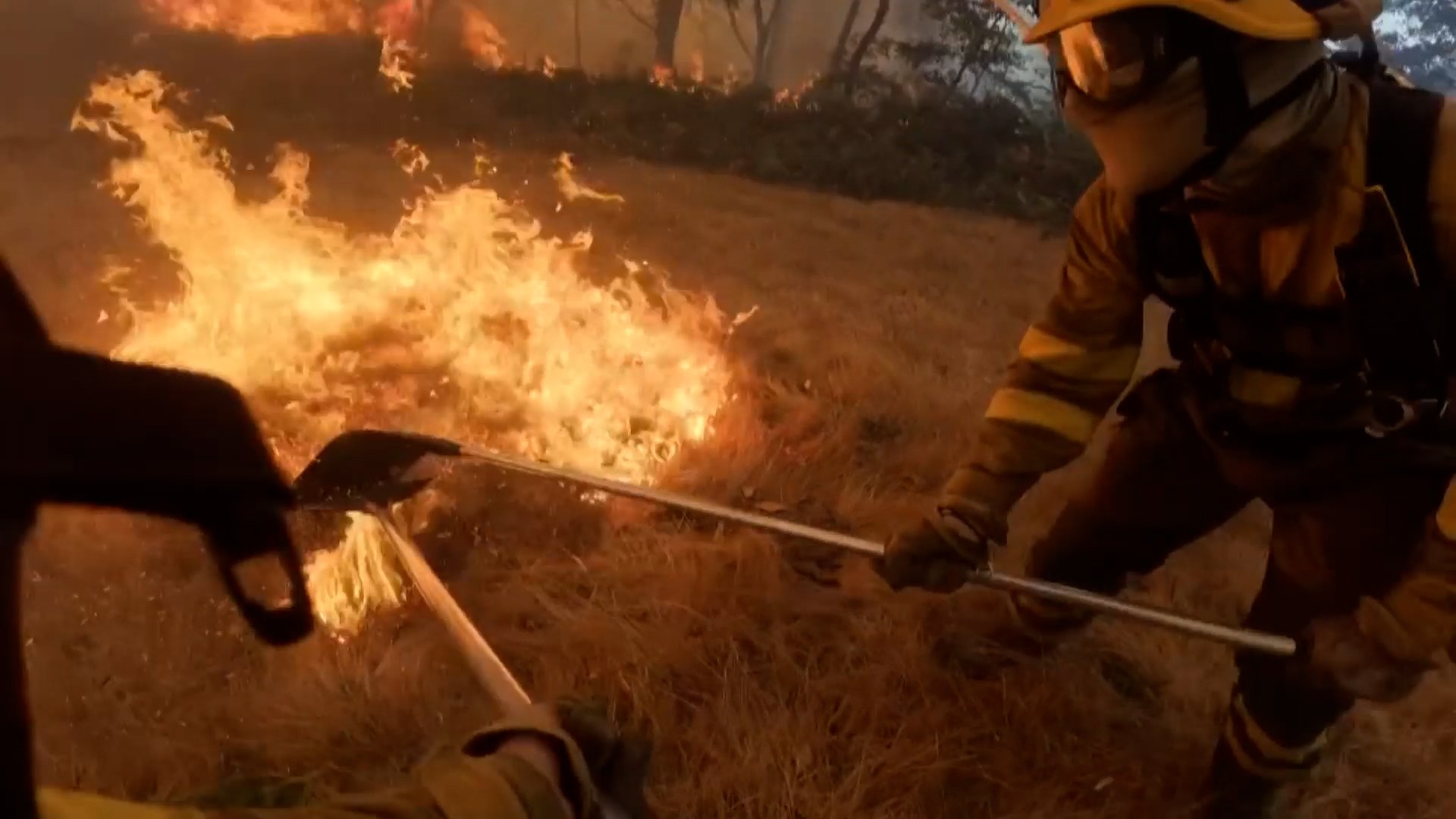 Con una c�mara atada al pecho, un bombero forestal registr� la dureza de su trabajo al adentrarse en un incendio en Ourense.

La velocidad de propagaci�n del fuego oblig� a la brigada a trabajar sin descanso con palas, hasta que quedaron cercados por las llamas.

Durante unos minutos, el humo fue tan denso que se perdi� el rastro de dos compa�eros, generando gran tensi�n en plena operaci�n.

Las im�genes muestran la primera l�nea de fuego en distintos puntos de la provincia, donde los bomberos han tenido que llevarse al l�mite para contener los incendios.