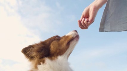 tn7-publireportaje-banco-popular-200825