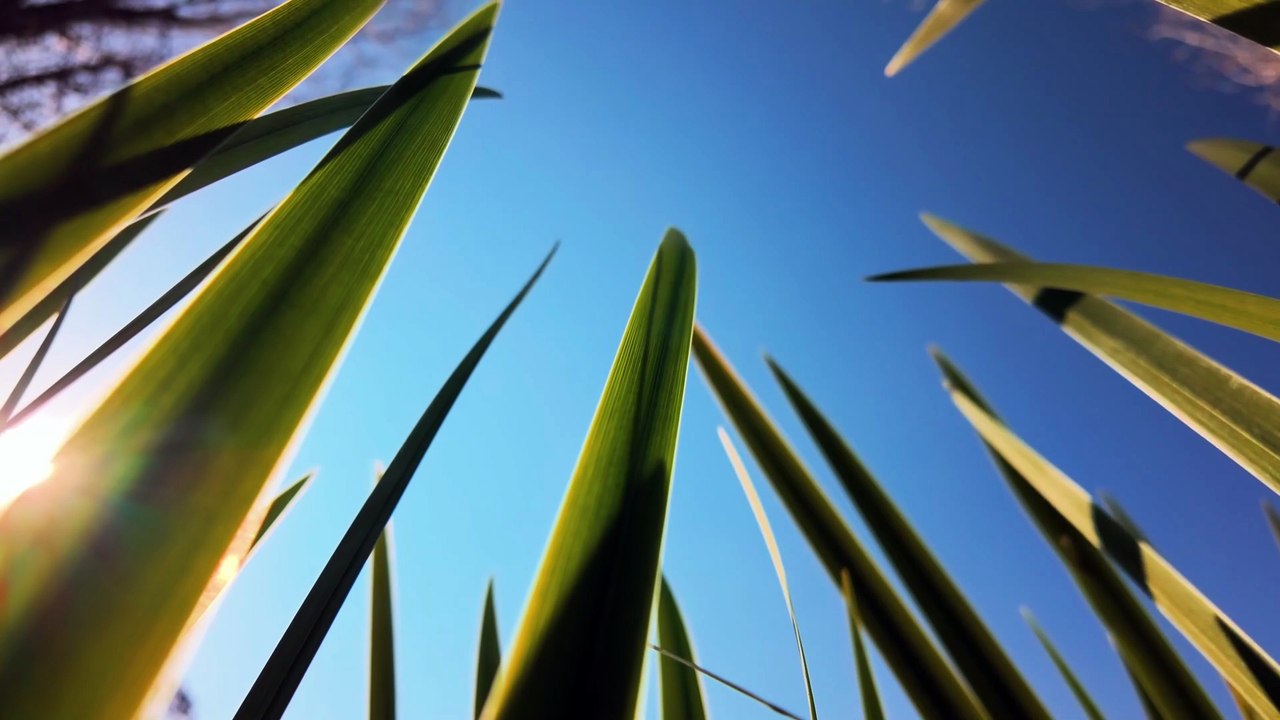 Loin du Bruit ~ Musique d'ambiance calme 4K