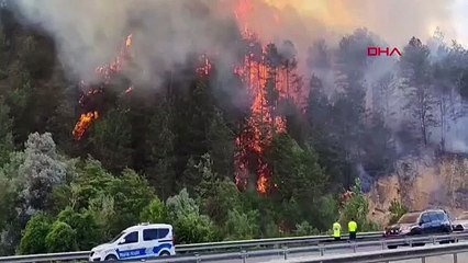 Bolu'da orman yangını