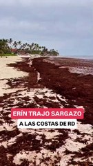 Sargazo está afectando las costas de Puerto Rico y RD