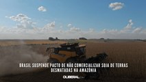Brasil suspende pacto de não comercializar soja de terras desmatadas na Amazônia