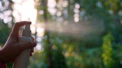 North Wales holidaymakers among the UK’s most insured