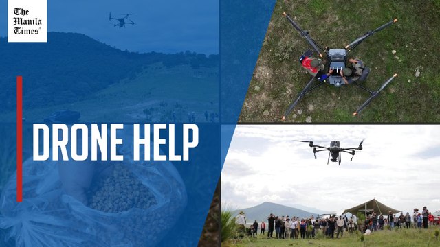 Mexico turns to drones to reseed burned forests