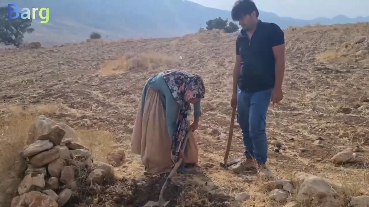 Part 3 | Construction of toilet using stone_ wood_ soil_ etc.  by me and my wife