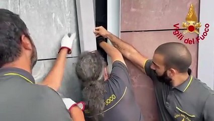 Montano Lucino, il salvataggio a lieto fine (tra gli applausi) di un gattino