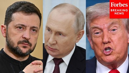 Karoline Leavitt Asked How Long Trump Will Wait For Putin To Arrange A Meeting With Zelensky