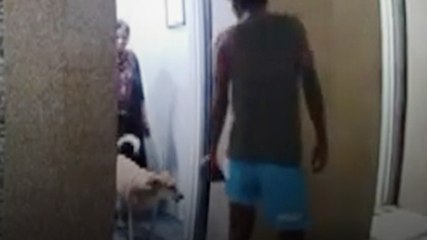 Video: इंदिरापुरम में स्ट्रीट डॉग ने मेड पर किया हमला