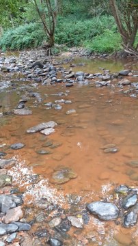 Pollution de la rivière Sumène en Haute-Loire