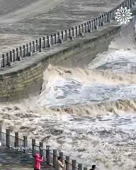 Spectacular show of the tidal bore🌊