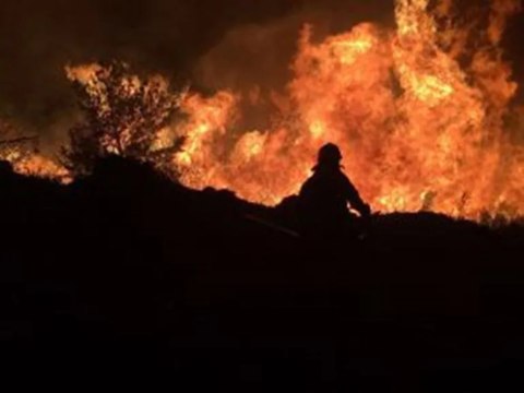 La Ventana a las 16h | Estaba de vacaciones cuando empezó la ola de incendios y se quedó ayudar: Hemos abierto un consultorio