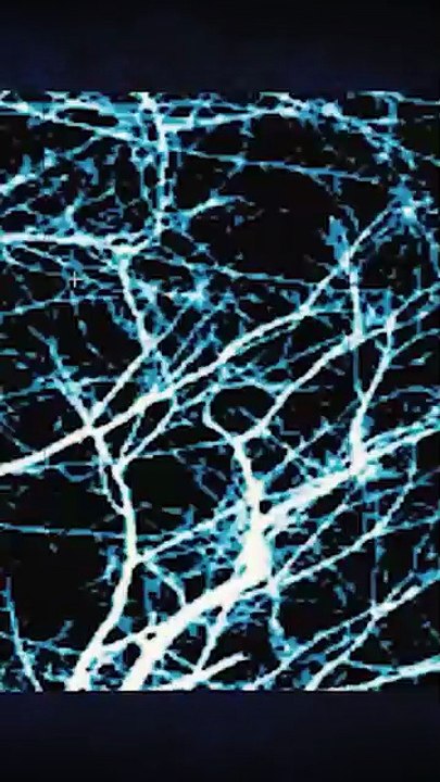 Un SITE qui vous fait PERDRE LE CONTRÔLE.