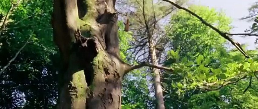 Disney's Oceans Official Trailer