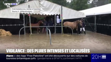 Pluies à Fontainebleau: le championnat national des jeunes poneys annulé