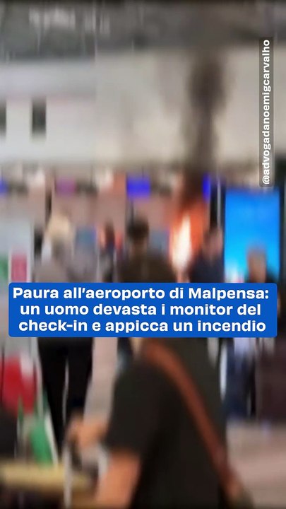 "Panico al Terminal 1 di Malpensa: Uomo Armato di Martello Semina Terrore e Distruzione"