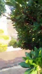 Una tubería rota provoca cascadas en el Puente de San Martín