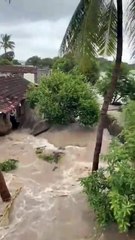 Massive Flooding in Junagadh, Gujarat 🇮🇳 | Heavy Rainfall Causes Destruction (20.08.2025)