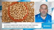 US Soybean Farmers Warn Trump: Without A China Trade Deal, America Risks Losing Billions As Beijing Turns To Brazil