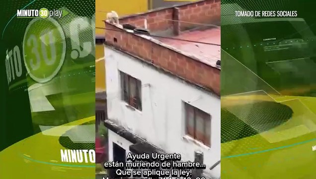 Caen por maltrato animal en Manrique: rescatan cinco perros en precarias condiciones
