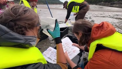 CH 20 Aout TOPO Etude Baie-des-Rochers WEB FINAL