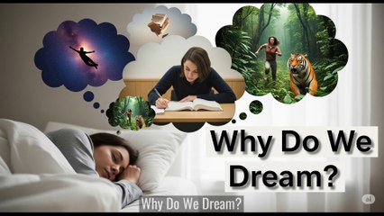 0037 Why Do We Dream? Explained Simply