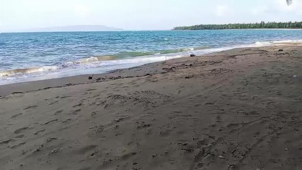 PLAYA DE NAGUA REGION NORTE REPUBLICA DOMINICANA