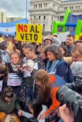 Así celebraron en las afueras del Congreso el rechazo al veto de Milei por la emergencia en discapacidad