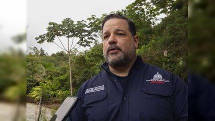 Paíno Henríquez dice no tiene vínculos con contrataciones del Estado