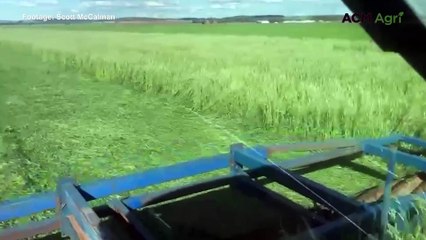 Crimping technique supports cotton and sorghum production