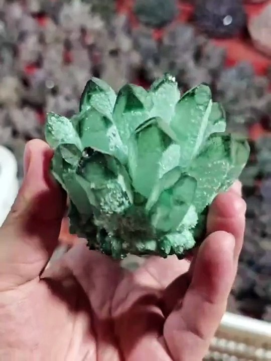 COBRE