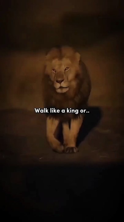 Rise & Inspire: Success isn’t luck — it’s grind, discipline, and belief. 🛠️.💯