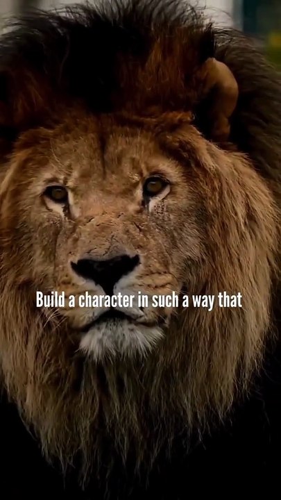 Rise & Inspire: Every Setup is a Setback of a Comeback