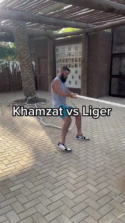 Khamzat Vs Tiger