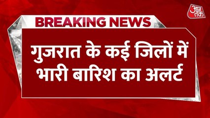 सैलाब में शेर फंसा, शहर डूबे, डैम ओवरफ्लो... गुजरात में बाढ़ से आफत