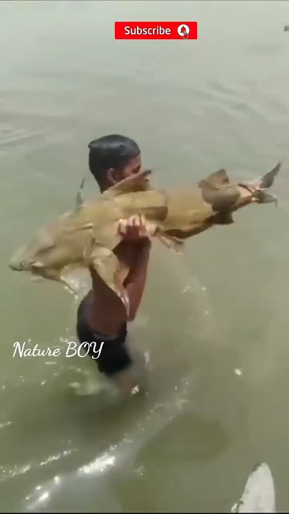 fishing fish by a  mallah boy in ganga river   #shorts #botanicalworldbyshabeer