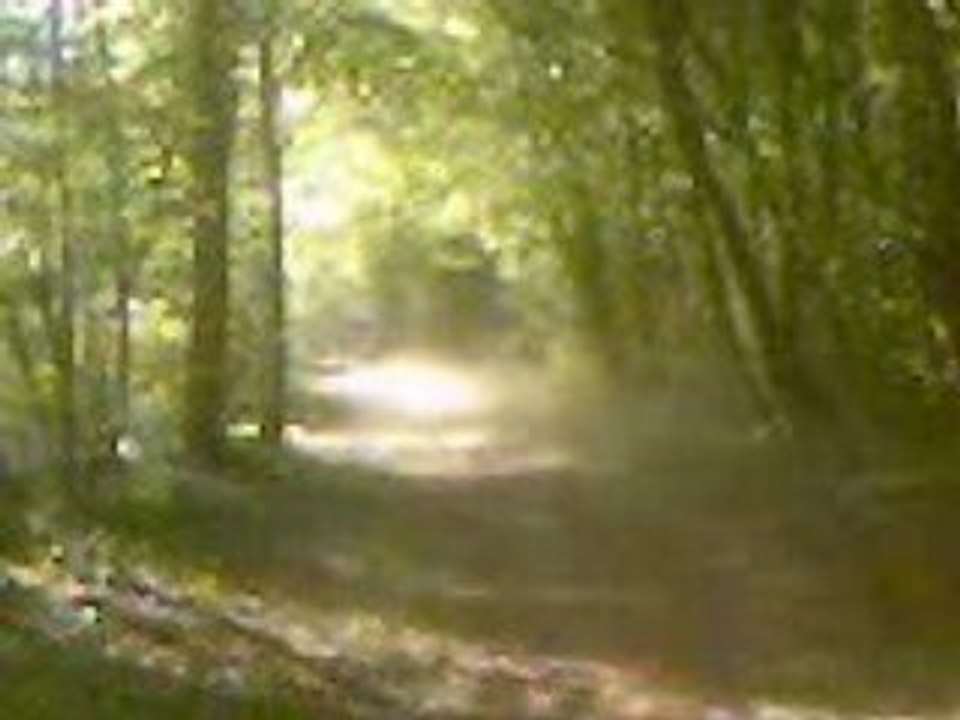 Dirt 125 bois d'Orry la Ville