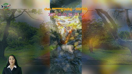 Review Farm Dream Estates Ticket in Hualien