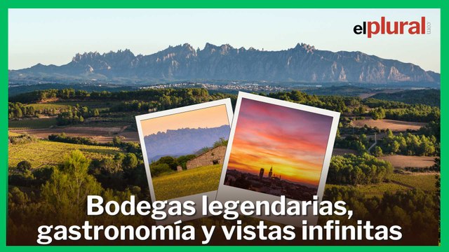 Disfruta una de las mejores rutas de vino de España en 48 horas