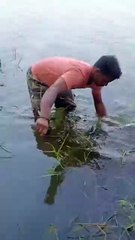 biggest monster fish hunting in river