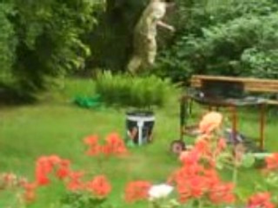 Et sa continu les coneries mdr