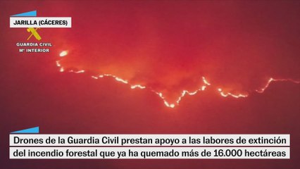 El viento complica la extinción del incendio de Jarilla (Cáceres)