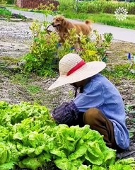 We don't deserve dogs😍