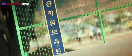 Under Cover Season 01Episode 02 Hindi Dubbed