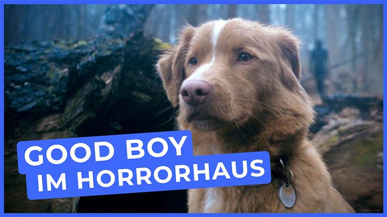 Der süßeste Horrorheld aller Zeiten!