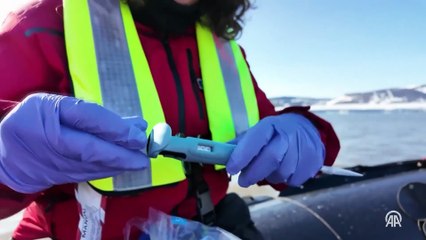 Türk bilim insanları Arktik'te eDNA ve CTD tabanlı ölçümler gerçekleştirdi
