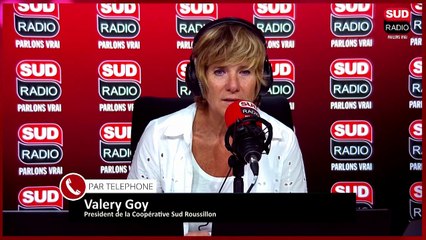 Tomates et Concombres : les légumes stars de l’été