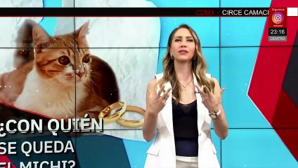 Custodia compartida para mascotas ya es posible en casos de divorcio y separación