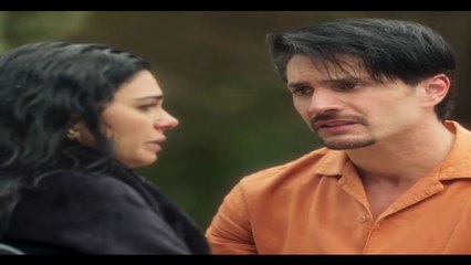 Amanecer  Capitulo 35 Amanecer  Capitulo 35