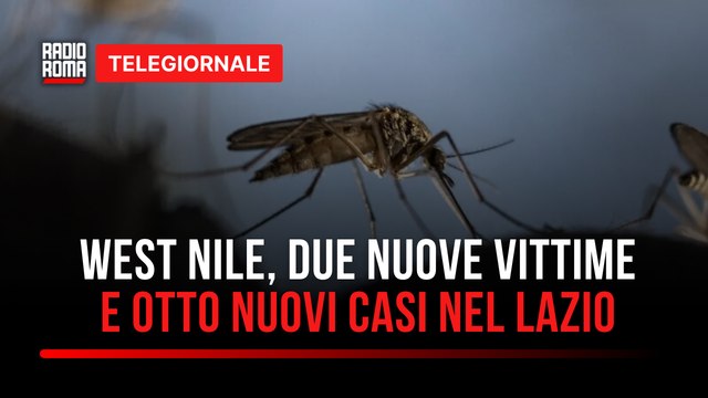 Telegiornale Roma e Regione Lazio - Edizione delle 13:00 di Giovedì 21 Agosto 2025