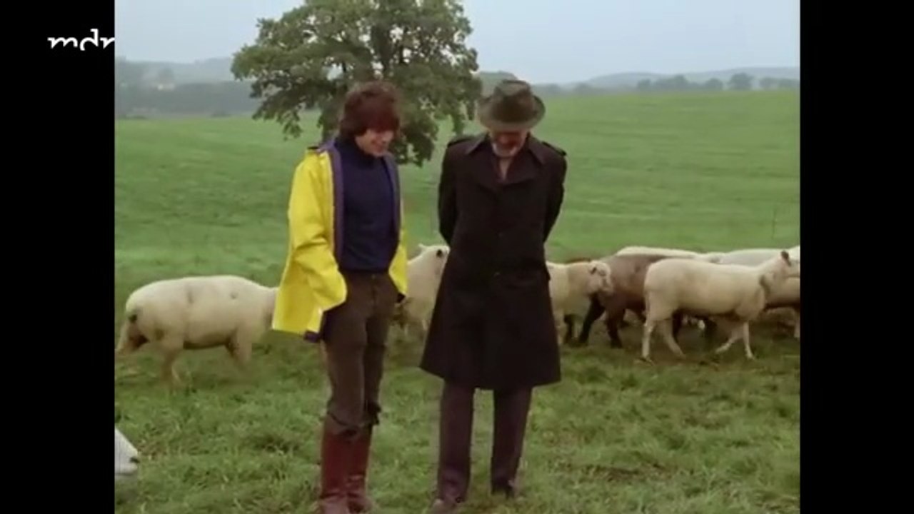 Trending view : Die Zwillinge Vom Immenhof movie (1973)